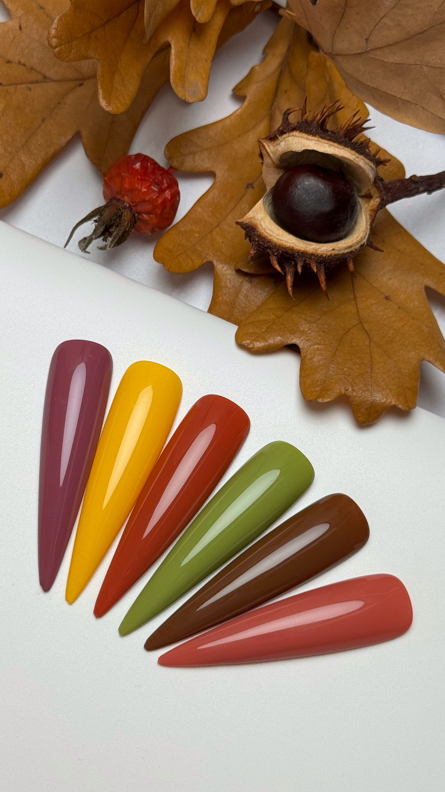 Autumn Mood, Gel Polish